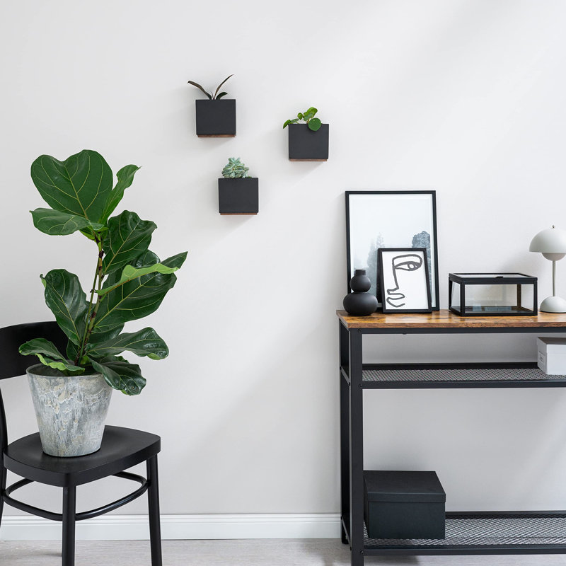 Metal Wall Planter, 12.4cm H x 14cm W x 7cm D, Black