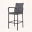 Tabouret de bar d'extérieur en osier (ensemble de 2)