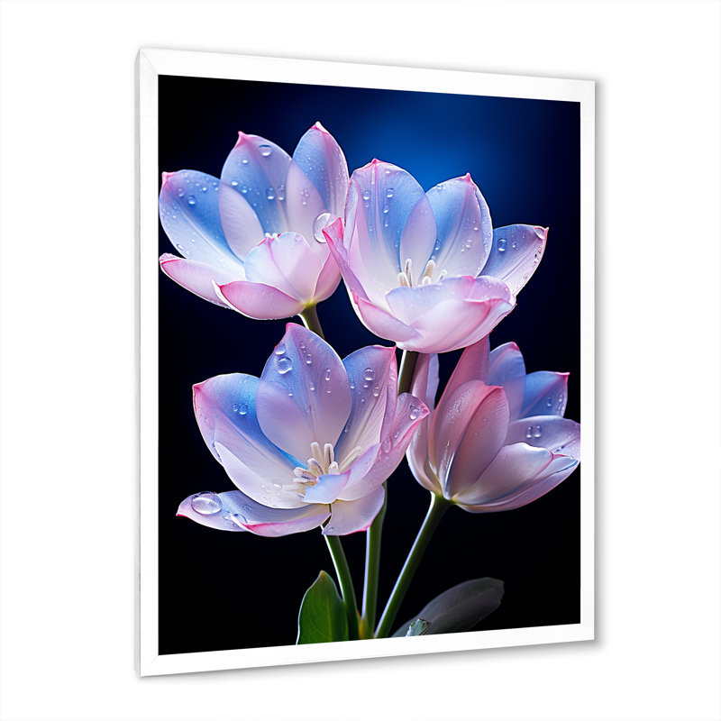 Chantler, tulipes roses et bleues enchantées sur fond noir - impression, Cadre photo blanc, H 20 po x l 12 po x P 1 po