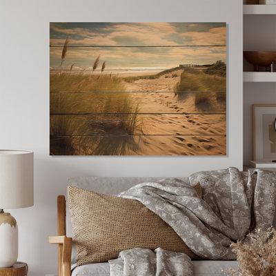 Schwenzer " Beach Sands Wonder "