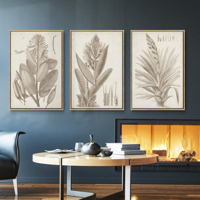 Sépia, plantes exotiques I, ensemble de 3 toiles encadrées