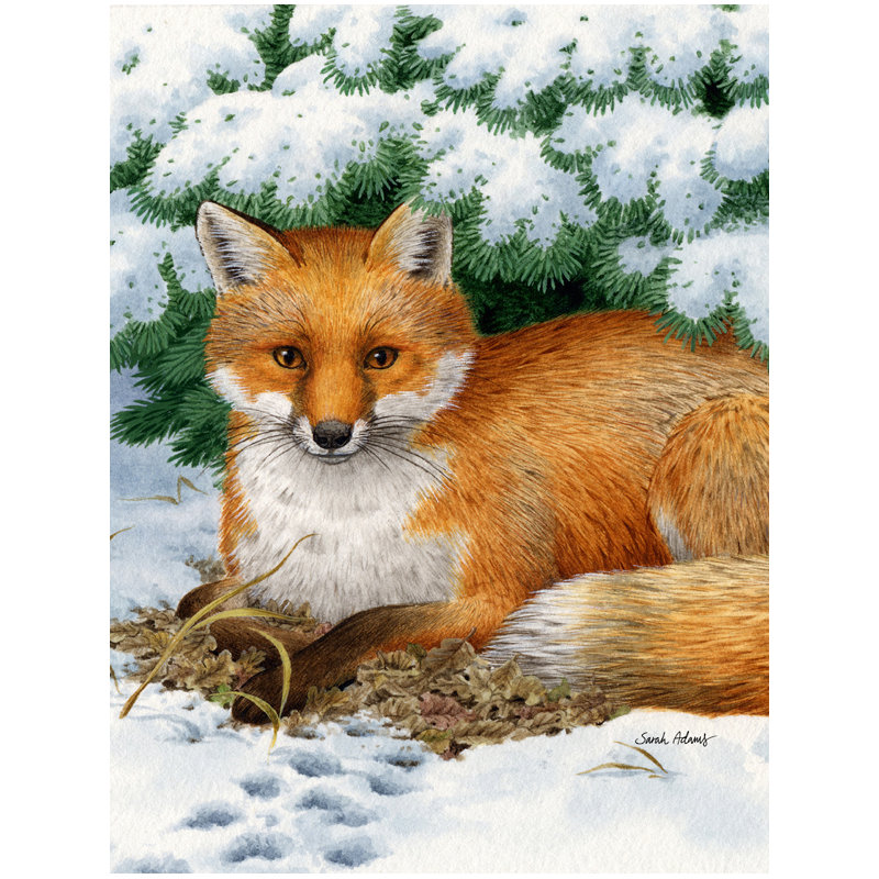 Drapeau de jardin à 2 côtés fox