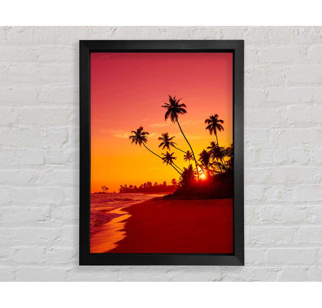 As The Sun Sets Under The Palm Trees - Einzelne Bilderrahmen Kunstdrucke