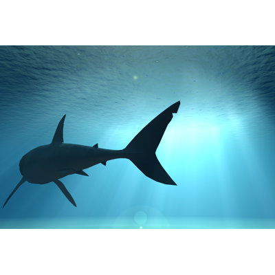 Shark Underwater - Wrapped Canvas Print
