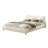 Upholstered Bed Frame-1085418550