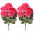 Rouge rose