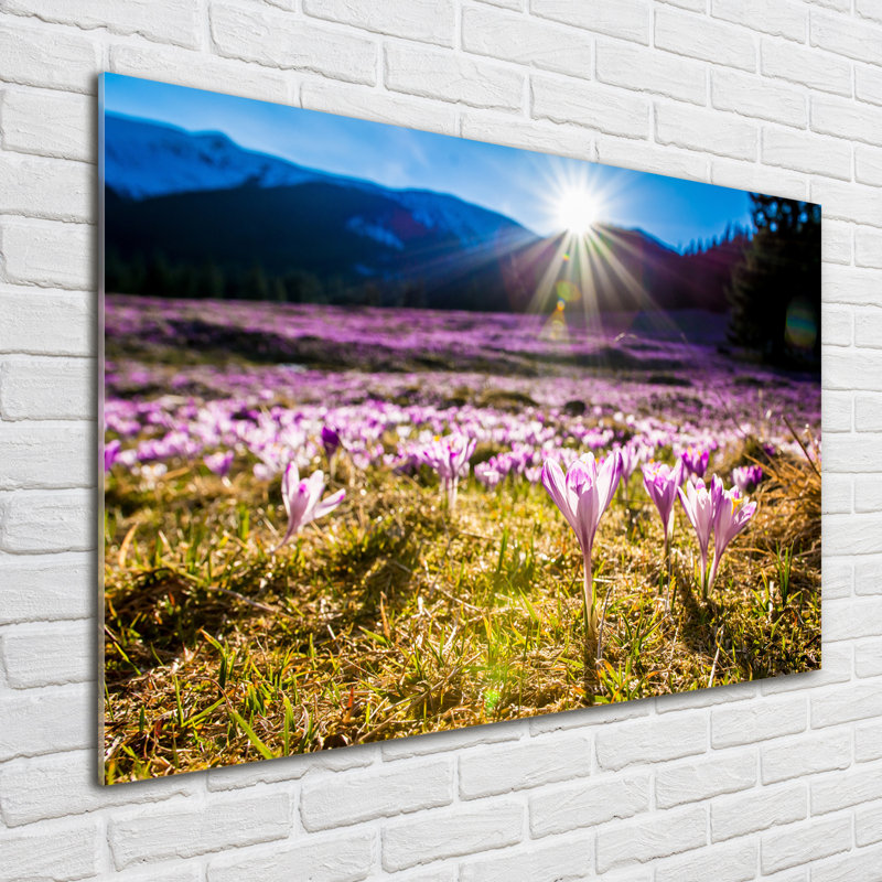 Crocuses In The Clearing - No Frame Print on Glass