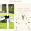 8 Dog Agility Training Tough - , Adjustable Jump Bars, Carry Bag, White 8 Piece Stuff Heights,