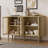 Kiran Sideboard with Glass Doors & Adjustable Shelves-850025735