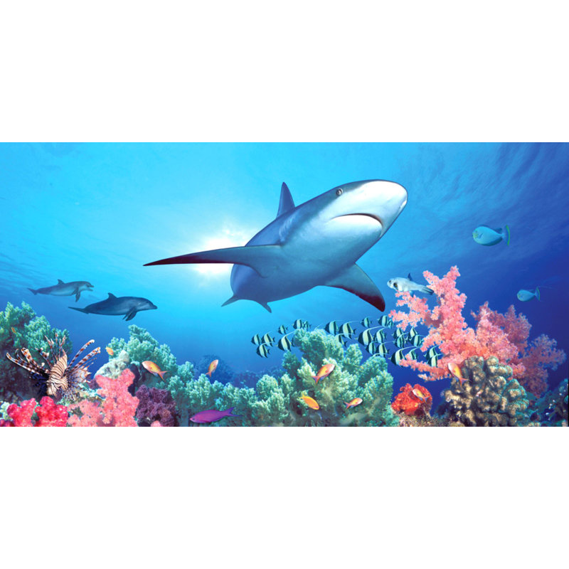 Murale lisse Teddy Shark Reef, l 40 po x L 80 po