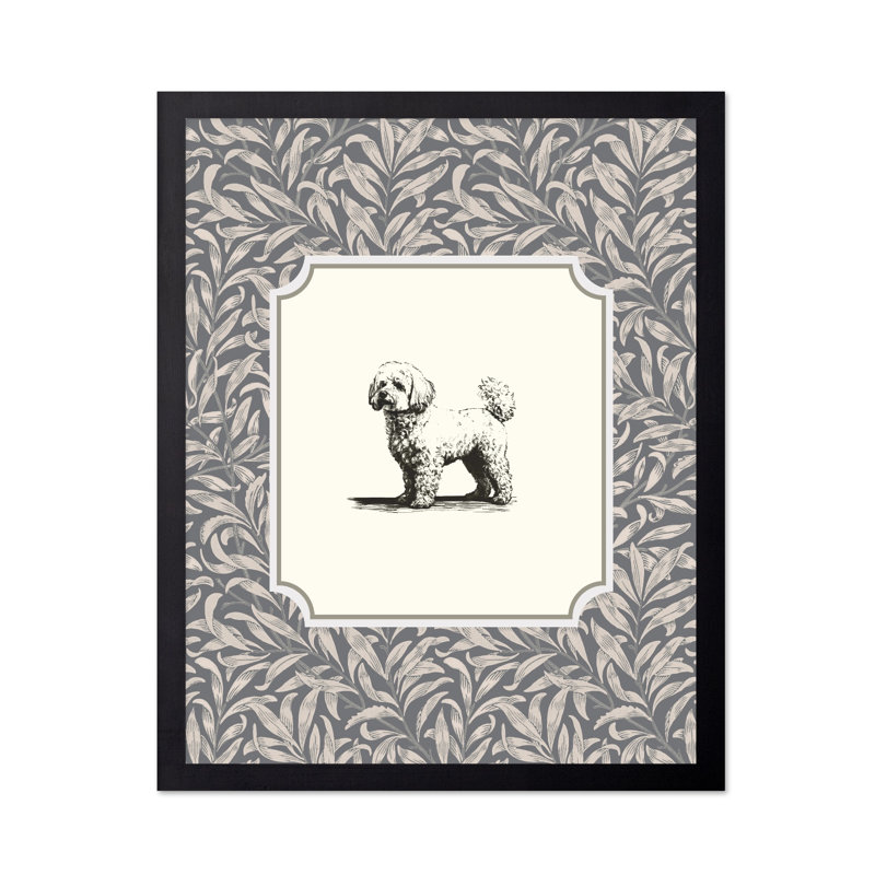 Bichon frisé, Unframed, Poster, 08"H x 10"W