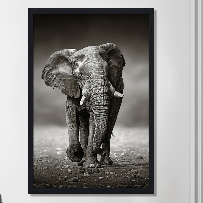 Single Picture Frame Photograph, 39.5" H x 27.5" W x 0.75" D