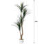 Faux olivier en pot-133254245-133254246-133254279