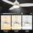 Eleanar 48'' Ceiling Fan with LED Lights