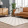 Atiran Checkered Shag Beige Area Rug