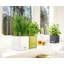 Cube Pot Planter-16493163