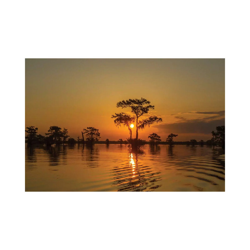 USA, Louisiana, Atchafalaya National Wildlife Refuge. Sunrise On Swamp. by Jaynes Gallery - Wrapped Canvas Gallery-Wrapped Canvas Giclée