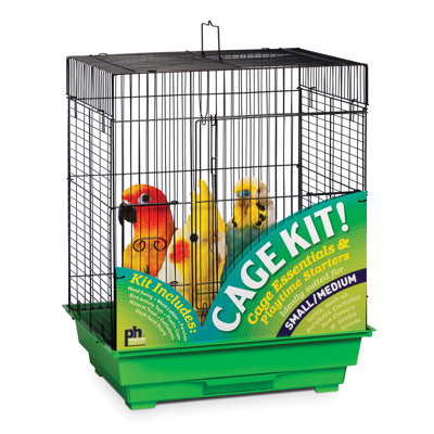 22'' Plastic Flat Top Starter Bird Kit with Perch