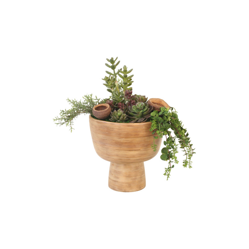 Jardin succulent dans un vase en bambou