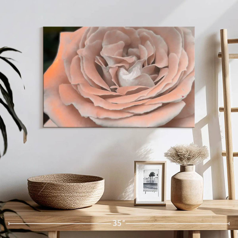 Doux pétale de rose, H 16 po x l 24 po