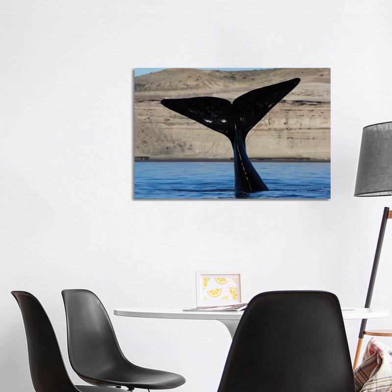Southern Right Whale Tail, Valdes Peninsula, Argentina 1 Piece Wrapped Canvas Wall Art, 101.6 cm H x 66.04 cm W x 1.91 cm D