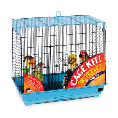 Ensemble d'oiseaux de jeu avec perchoir Breuer