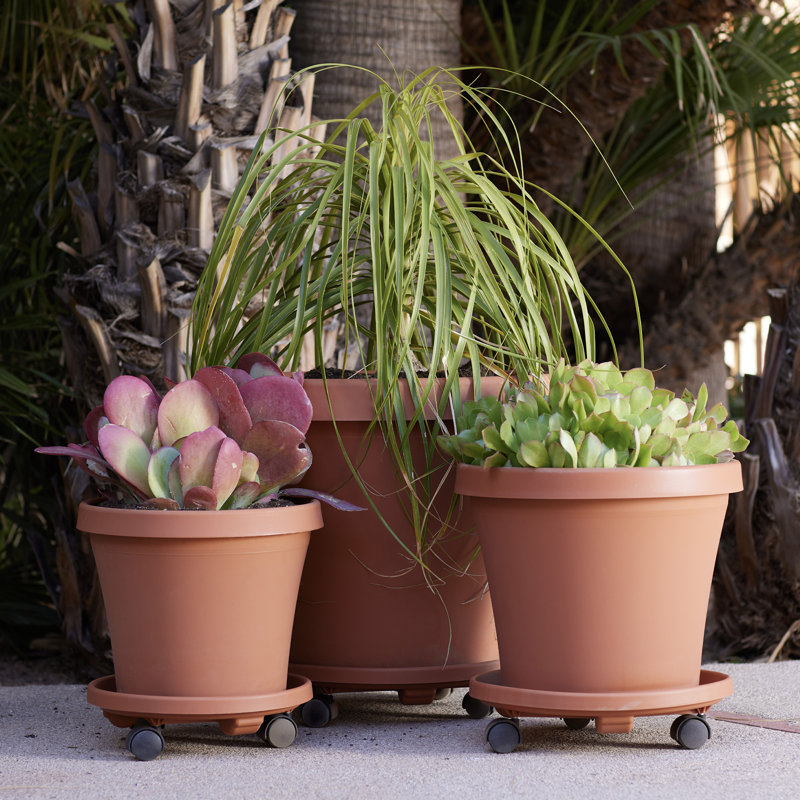 Traditional Plastic Indoor/Outdoor Plant Caddy, 3.5" H x 16" W x 16" D