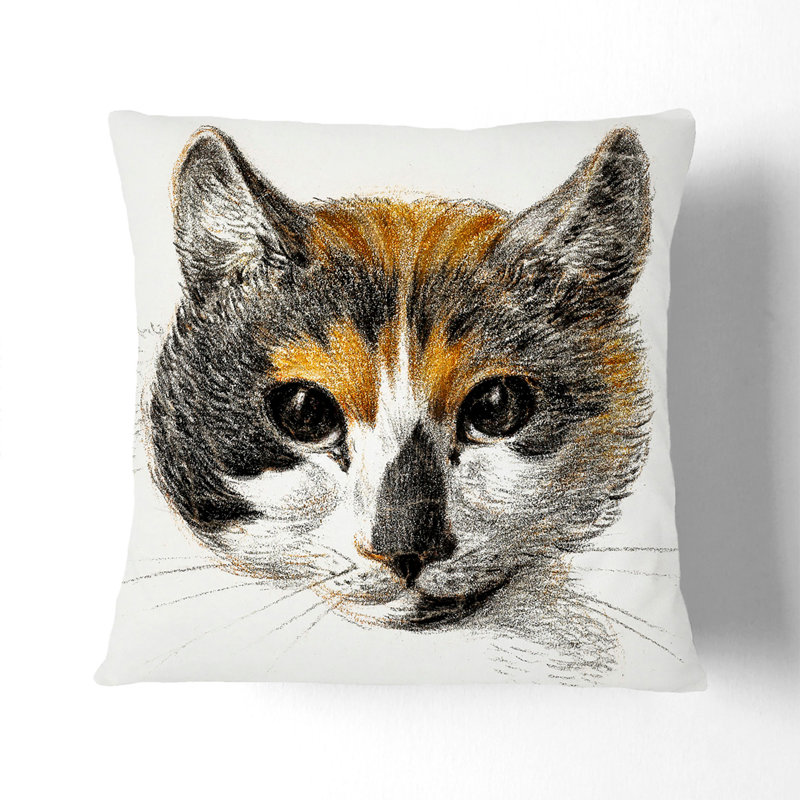 Square Throw Cushion, 55cm H x 55cm W x 20cm D
