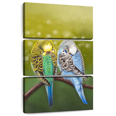 Brampt Budgie Siesta