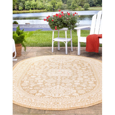 Tapis intérieur / extérieur Danera Southwestern