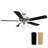 Kalona 52'' Ceiling Fan with Light Kit-1493997072