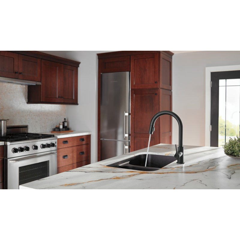 Trinsic Matte Black Kitchen Faucet with Pull Down Sprayer, Modern Single Hole Kitchen Sink Faucet, Single Handle, Matte Black