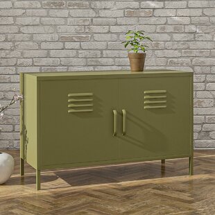 https://assets.wfcdn.com/im/38900050/resize-h310-w310%5Ecompr-r85/1195/119578611/gioia-steel-accent-cabinet.jpg