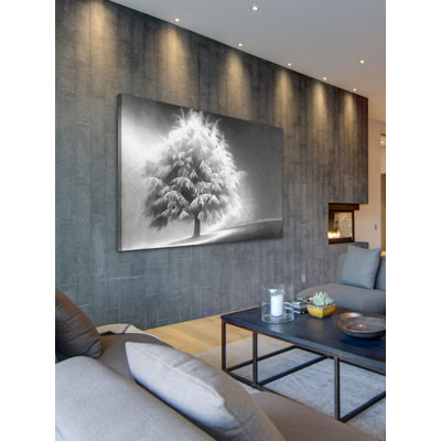 « lighted tree » par don schwartz, reproduction d’art sur toile tendue