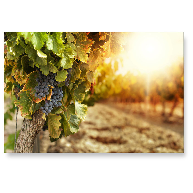 Print on Canvas, 100cm L x 150cm W, Cotton blended fabric (380g/m²)