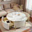 Table basse moderne avec 2 grands tiroirs Modern