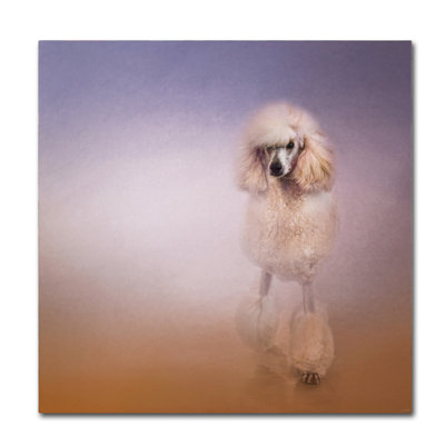 Vidur 'On the way to the Salon Standard Poodle' Graphic Art Print on Wrapped Canvas