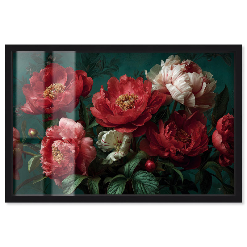 Pivoine opulence rose, H 11 po x l 16 po, Noir