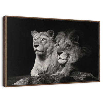 Lion And Lioness Mates