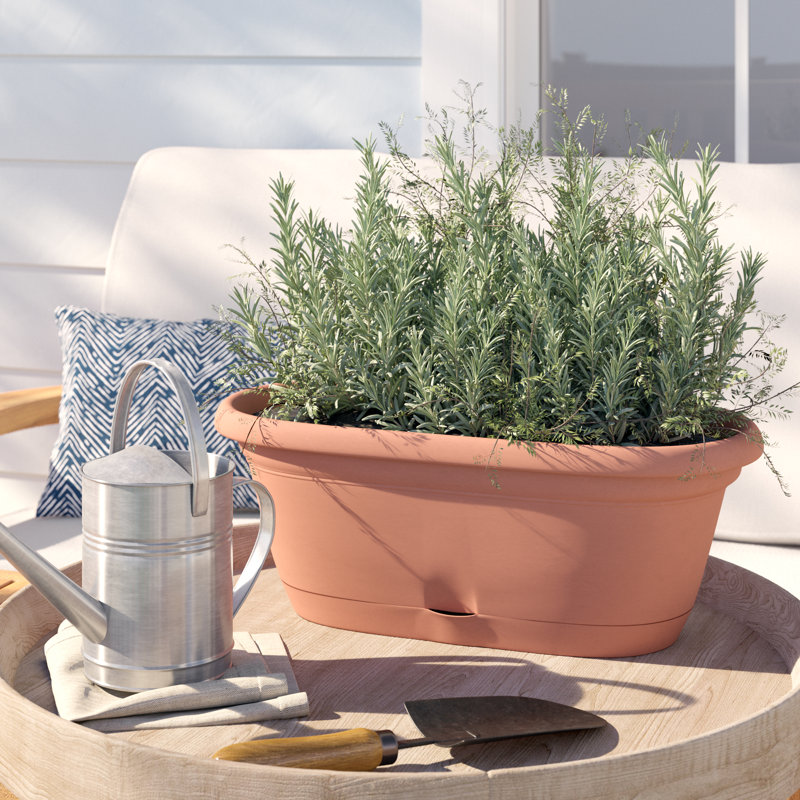 Lucca Self-Watering Plastic Indoor/Outdoor Oval Window Box Planter with Watering Basin, Terra Cotta