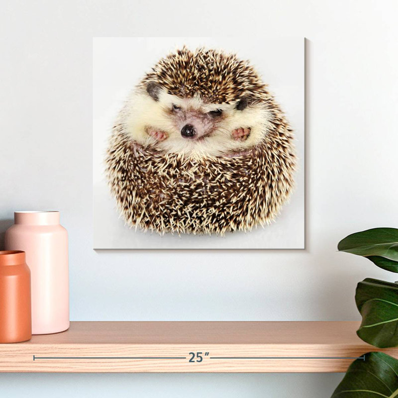 Crowle Curled Up Hedgehog, 16" H x 16" W