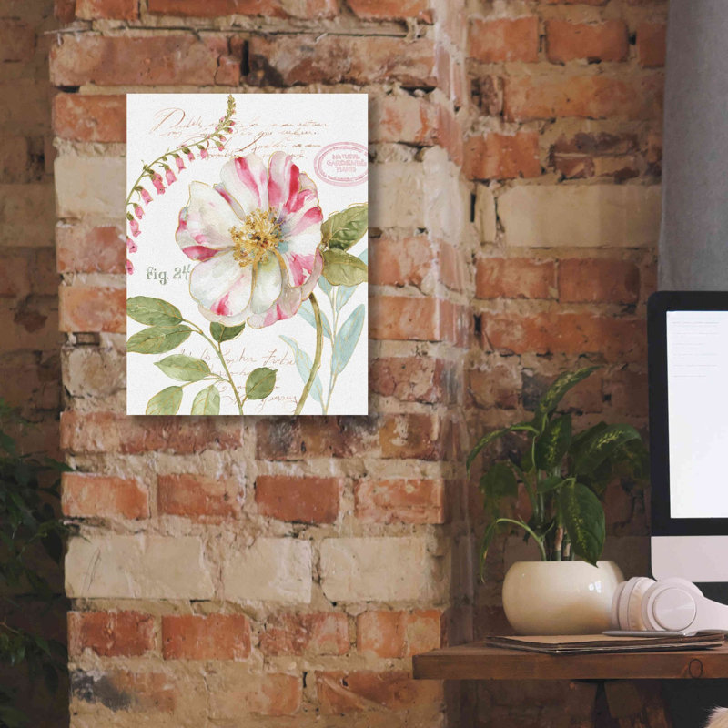 «Rainbow Seeds Botanical II» par Lisa Audit, art mural sur toile, H 16 po x l 12 po x P 0,75 po