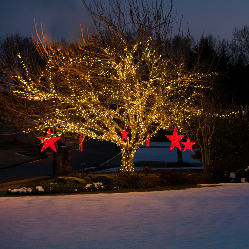 LED Mini Christmas Shatter Resistant 50 Light String Lighting, Warm White