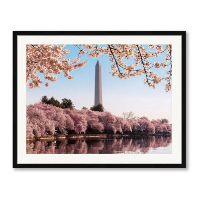 Washington Monument At Cherry Blossom Time Print by Steven Heap