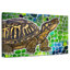 Brampt Eastern Box Turtle