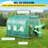Walk-in Tunnel Greenhouse, 9.8 x 6.6 x 6.6 ft Portable Plant Hot House with Galvanized Steel Hoops, 1 Top Beam, Zippered Door & 6 Roll-up Windows, Diagonal Poles, Green-95996363-95996365