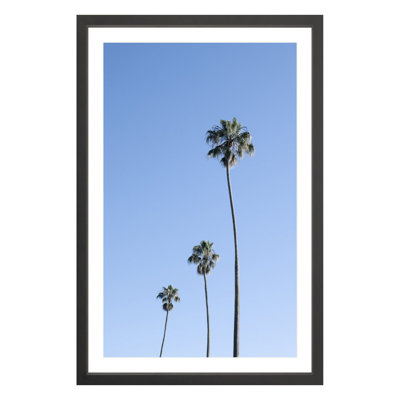 Plants & Flowers Print