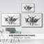 Longhorns modernes I-92473535-92473538