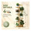 Plant Stand
