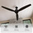 Mucip 59.8'' Ceiling Fan